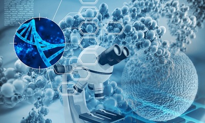 一?？苿摗胺N子”孕出一家“隱形冠軍”